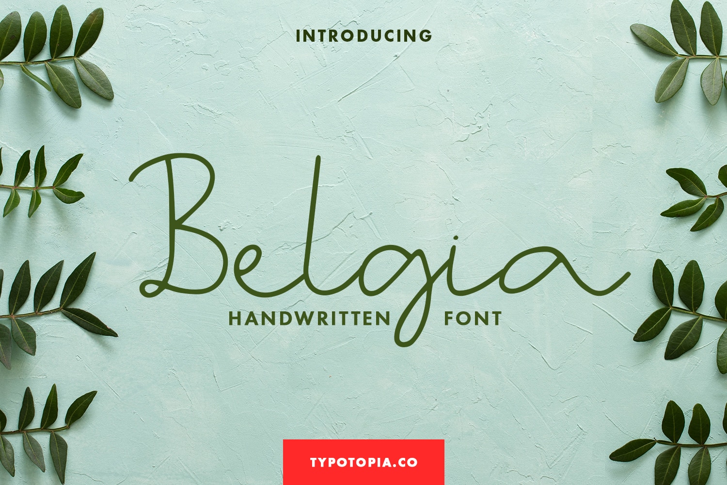 Belgia Handwritten Font