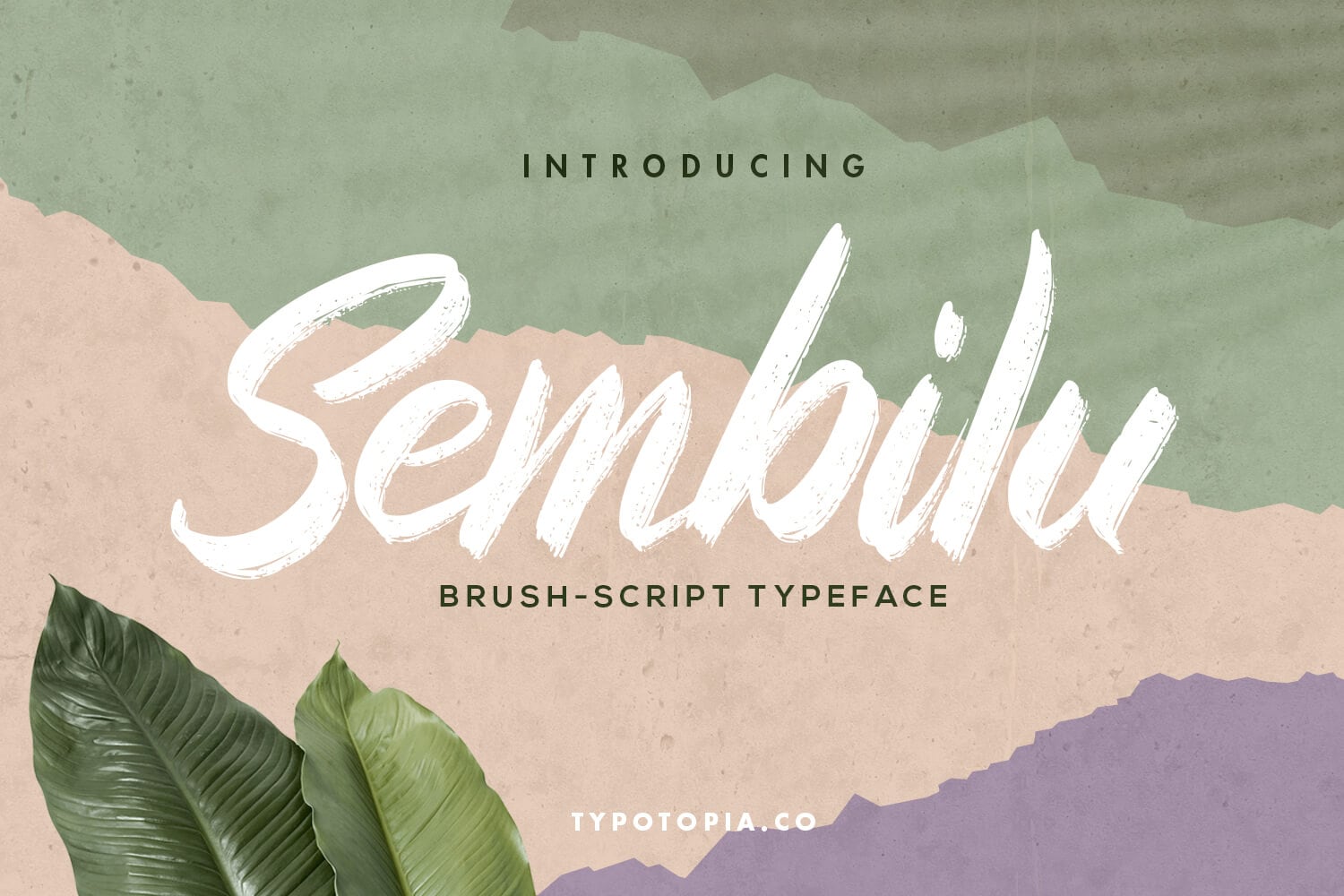 Sembilu Brush Script Font