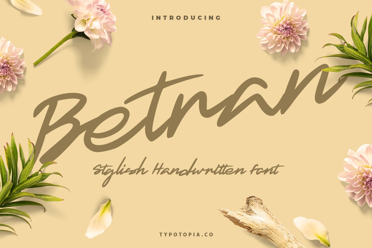 Betran Hand Drawing Font
