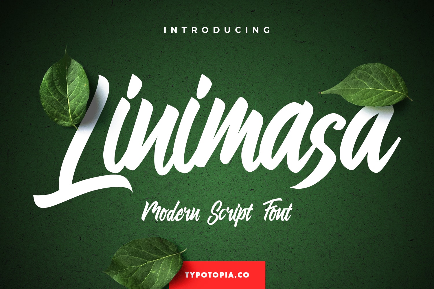 Linimasa - Modern Script Font