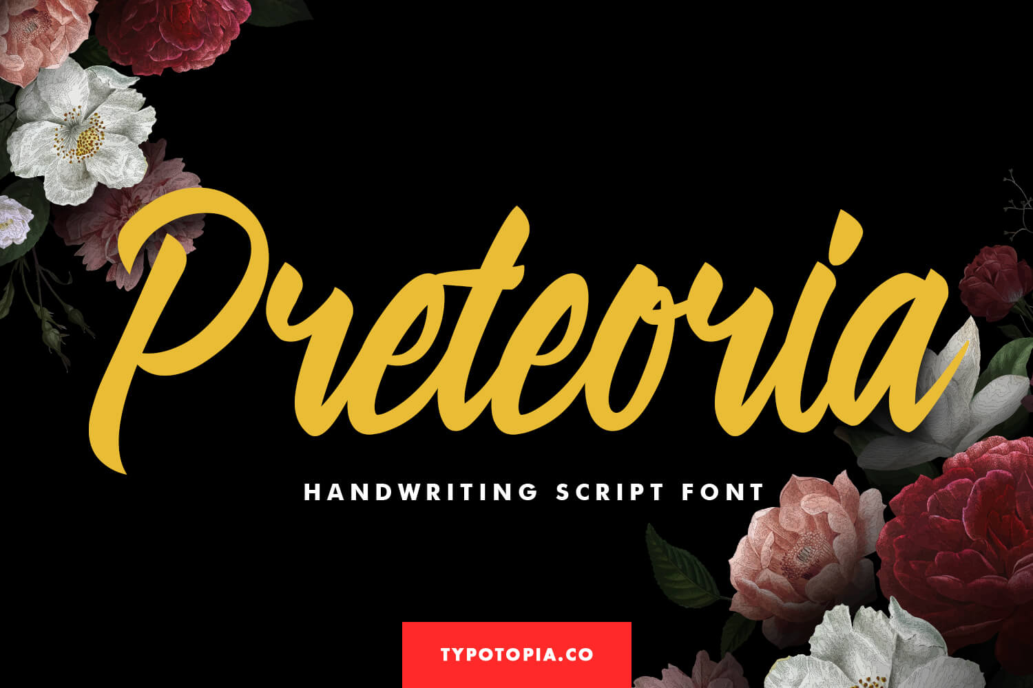 Preteoria Modern Script Font