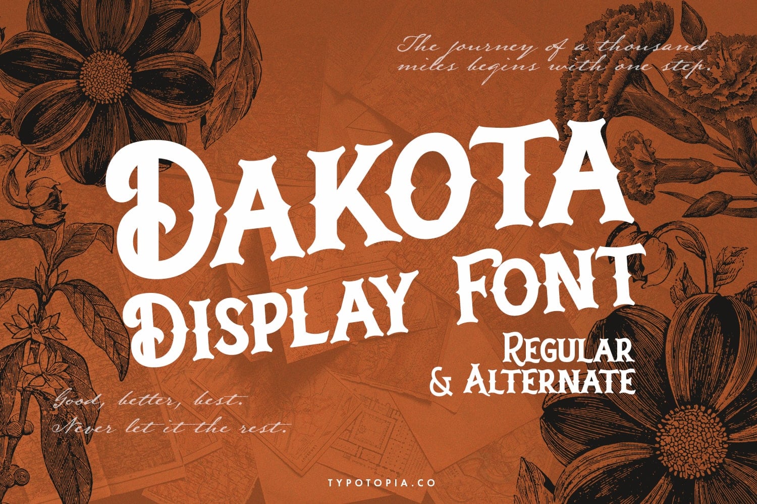 Dakota Display Font