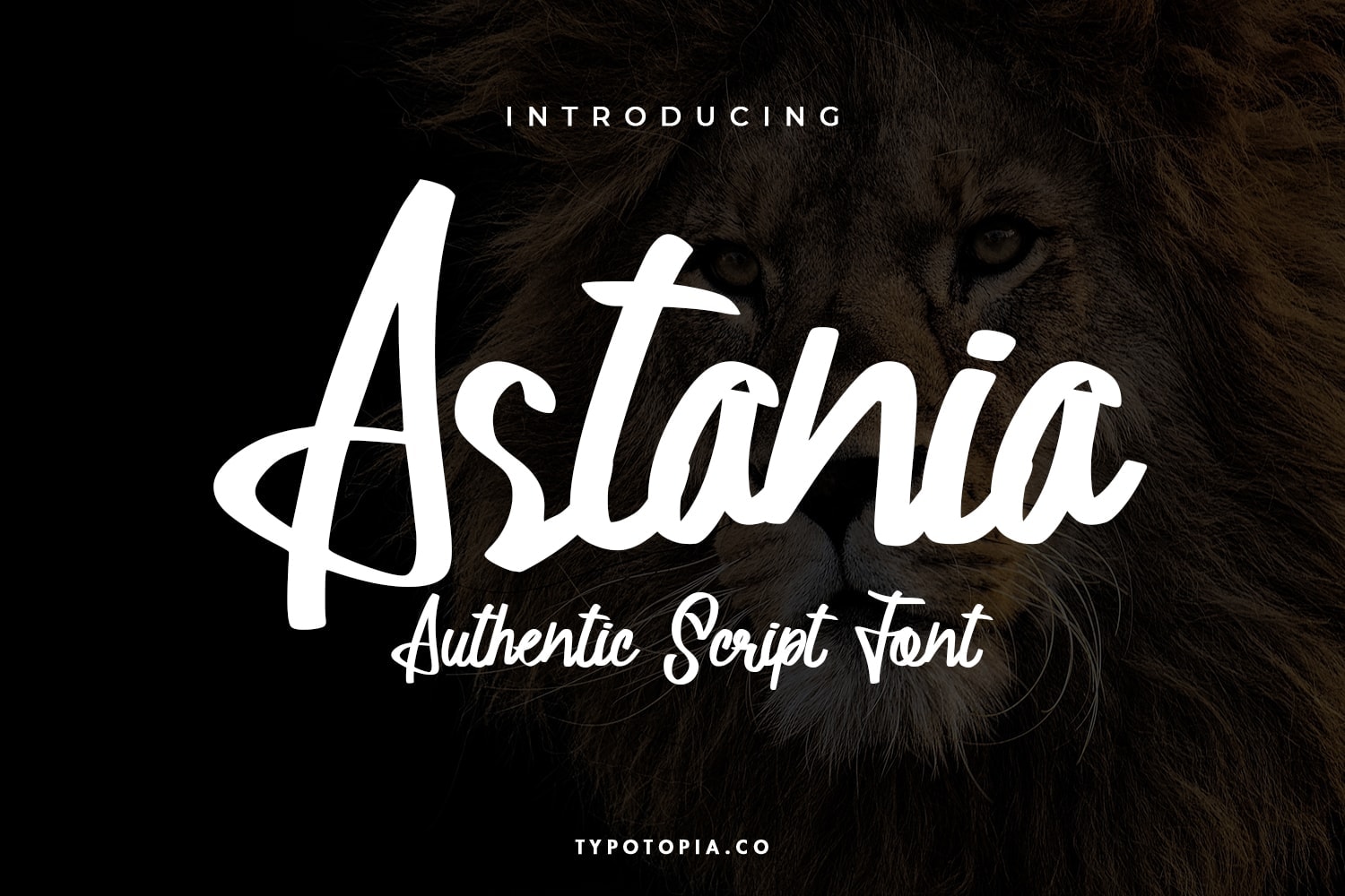 Astania Script Font