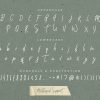typo_7-1
